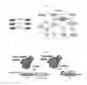 Fig. 22 - Gene modification assays