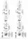 Fig. 02 - Methods and compositions for nucleic acid isolation