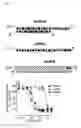 Fig. 02 - Two-tailed self-delivering siRNA