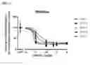 Fig. 04 - Two-tailed self-delivering siRNA