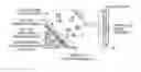 Fig. 01 - BACILLUS BOMBYSEPTICUS SF3 DECOMPOSING FLUORINE-CONTAINING COMPOUND, RECOMBINANT MICROORGANISM INCLUDING GENE DERIVED FROM BACILLUS BOMBYSEPTICUS AND METHOD OF REDUCING CONCENTRATION OF FLUORINE-CONTAINING COMPOUND IN SAMPLE BY USING BACILLUS BOMBYSEPTICUS