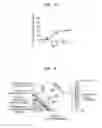 Fig. 04 - BACILLUS BOMBYSEPTICUS SF3 DECOMPOSING FLUORINE-CONTAINING COMPOUND, RECOMBINANT MICROORGANISM INCLUDING GENE DERIVED FROM BACILLUS BOMBYSEPTICUS AND METHOD OF REDUCING CONCENTRATION OF FLUORINE-CONTAINING COMPOUND IN SAMPLE BY USING BACILLUS BOMBYSEPTICUS