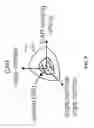 Fig. 09 - Gold optimized CAR T-cells