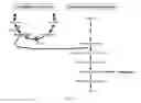 Fig. 02 - Plasmid addiction system to drive desired gene expression