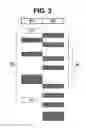 Fig. 06 - Chromosomal analysis by molecular karyotyping