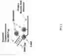 Fig. 02 - Methods for performing multiplexed real-time PCR in a self-contained nucleic acid analysis pouch