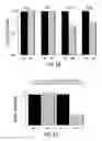 Fig. 49 - PRIMERS AND METHODS FOR THE DETECTION AND DISCRIMINATION OF NUCLEIC ACIDS