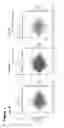 Fig. 15 - Method to identify key markers of human pluripotent cell-derived somatic cells that predict molecular similarity to in vivo target cells