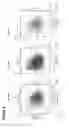Fig. 16 - Method to identify key markers of human pluripotent cell-derived somatic cells that predict molecular similarity to in vivo target cells