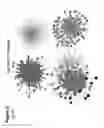 Fig. 23 - Method to identify key markers of human pluripotent cell-derived somatic cells that predict molecular similarity to in vivo target cells