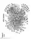 Fig. 24 - Method to identify key markers of human pluripotent cell-derived somatic cells that predict molecular similarity to in vivo target cells
