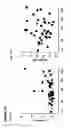 Fig. 41 - Method to identify key markers of human pluripotent cell-derived somatic cells that predict molecular similarity to in vivo target cells
