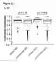Fig. 42 - Method to identify key markers of human pluripotent cell-derived somatic cells that predict molecular similarity to in vivo target cells