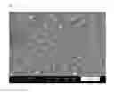 Fig. 06 - METHOD FOR DEPOSITING A COPPER SEED LAYER ONTO A BARRIER LAYER AND COPPER PLATING BATH