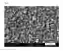 Fig. 07 - METHOD FOR DEPOSITING A COPPER SEED LAYER ONTO A BARRIER LAYER AND COPPER PLATING BATH