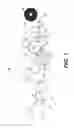 Fig. 02 - Methods of converting a paper web into paper products by reading marks on the paper web