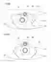 Fig. 08 - Centrifugal pendulum damper and torque transmission device