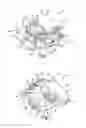 Fig. 02 - ACTUATOR ASSEMBLY FOR A TRANSMISSION SHIFTER
