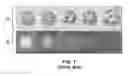 Fig. 02 - Ultraviolet gemstone display box