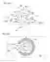 Fig. 24 - Low drift reference for laser radar