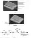 Fig. 02 - Single-particle bridge assay for amplification-free electrical detection of ultralow-concentration biomolecules and non-biological molecules