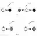 Fig. 02 - POLYMORPHIC ELECTRO-OPTIC DISPLAYS