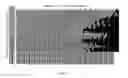 Fig. 03 - Multilayer UAS Image Ortho-Mosaics for Field-Based High-Throughput Phenotyping