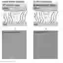 Fig. 01 - In situ thermal control of langmuir-schaefer transfer