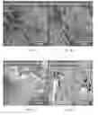 Fig. 04 - In situ thermal control of langmuir-schaefer transfer