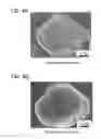 Fig. 04 - Method for composite active material