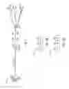Fig. 02 - Cable modem echo cancellation training in full duplex coaxial networks