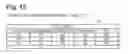 Fig. 13 - Communication device and terminal device
