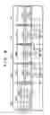 Fig. 09 - Control module capable of shortening a time required to start up an electronic device, electronic device, and control methods