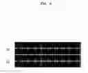 Fig. 09 - Method and apparatus for processing audio signal based on speaker location information