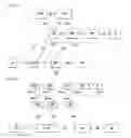 Fig. 09 - Registration method of user terminal in wireless communication system and apparatus therefor