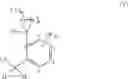 Fig. 19 - N-cycloalkyl-N-{[2-(1-substitutedcycloalkyl)phenyl]methylene}-(thio)carboxamide derivatives