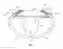 Fig. 03 - Adjustable Supporter