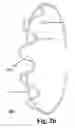 Fig. 06 - Devices and methods to protect neonates during bed-sharing and co-sleeping