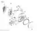 Fig. 04 - Cleaner