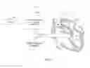 Fig. 02 - Medical system for mapping cardiac tissue