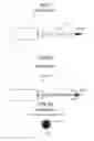 Fig. 07 - Needle biopsy apparatus, needle biopsy method, and needle biopsy system