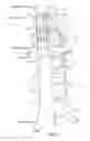 Fig. 02 - Implantable devices and related methods for heart failure monitoring