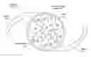 Fig. 01 - Birefringent intraocular lens