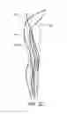 Fig. 08 - Flexible support brace for ankle
