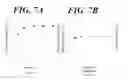 Fig. 08 - RIPPLE-PHASE CONTAINING COMPOSITION, ALPHA-GEL FORMATION COMPOSITION, EXTERNAL SKIN CARE COMPOSITION USING ALPHA-GEL FORMATION COMPOSITION, AND ALPHA-GEL COMPOSITION USING ALPHA-GEL FORMATION COMPOSITION