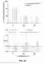 Fig. 30 - Systems and methods for continuous manufacturing of liposomal drug formulations
