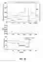 Fig. 33 - Systems and methods for continuous manufacturing of liposomal drug formulations