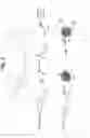 Fig. 07 - Therapeutic Nanoparticles Having EGFR Ligands and Methods of Making and Using Same