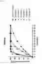 Fig. 02 - Afatinib-containing formulation