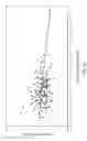 Fig. 45 - DPA-ENRICHED COMPOSITIONS OF OMEGA-3 POLYUNSATURATED FATTY ACIDS IN FREE ACID FORM